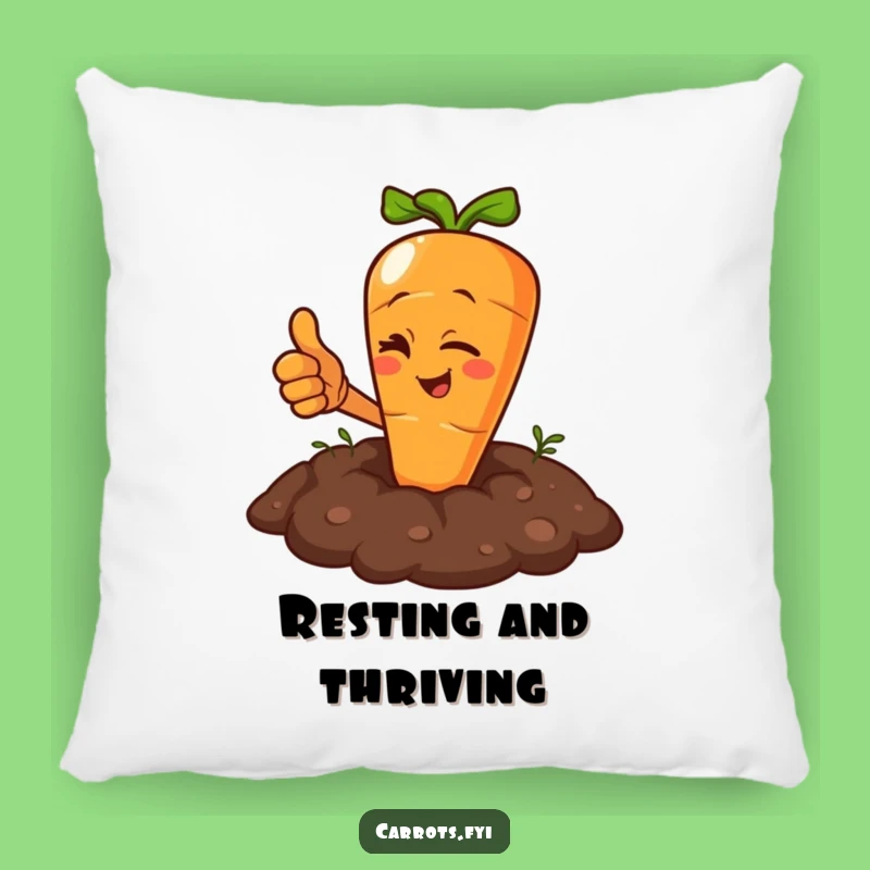 Funny Winking Carrot Pillow: Cozy Comfort with a Thumbs Up, Wonderful Funny Gift
